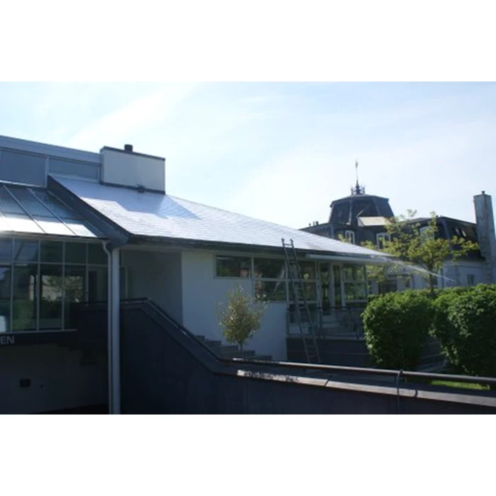 Algebehandling af tag fra Hvide Sande Tagrens